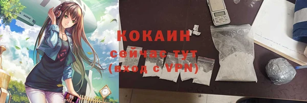 прущие крисы Корсаков
