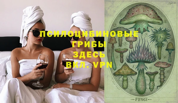дживик Коряжма