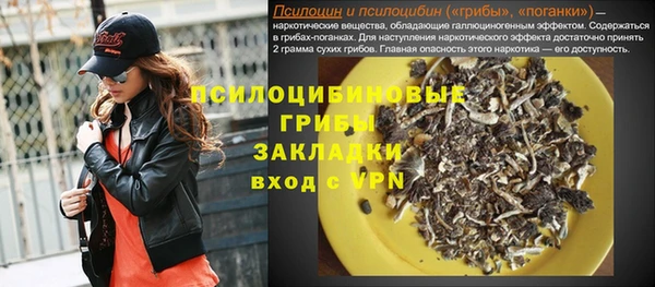 прущие крисы Корсаков