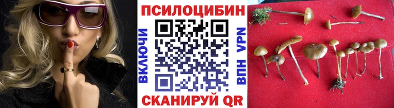 Купить Мамадыш Псилоцибиновые грибы ЛСД